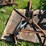 3-point-brush-mower-image-6