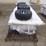 sdlanch-gc100-electric-golf-cart-image-7