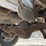 2014-ford-f250-image-11