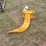 caterpillar-305-image-1