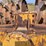 #21146-•-dual-drum-sheeps-foot-image-51