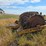 #21146-•-dual-drum-sheeps-foot-image-6