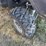 2021-polaris-ranger-1000-image-5