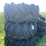 (3)-30.5/32-combine-tires,-decent-tires-image-7