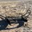 grill-guard-for-pick-up-image-4