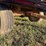 h&s-silage-box-on-knowles-tandem-running-gear-image-8
