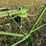 krone-5.52/4x7t-4-basket-tedder-image-11