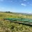 45’-lockwood-potato-piler,-220-elec-image-5