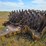 #21146-•-dual-drum-sheeps-foot-image-3