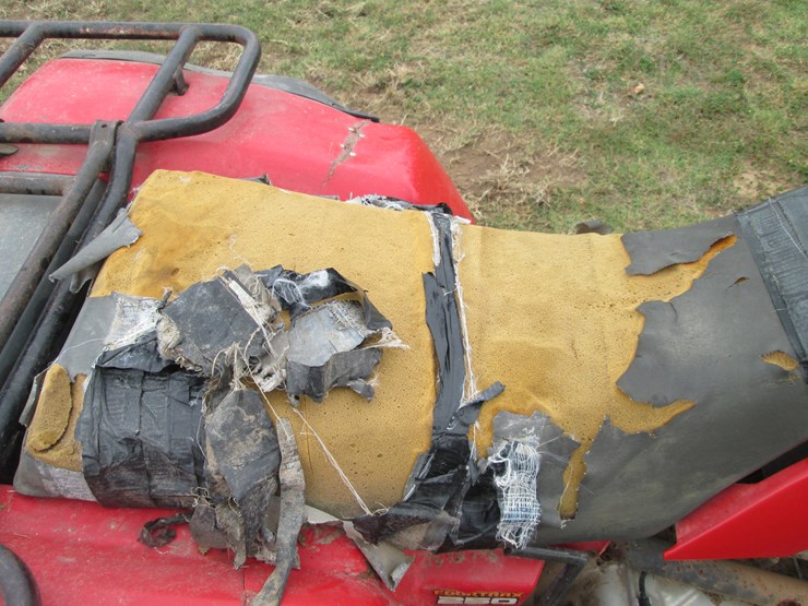 honda-fourtrax-250-image-10