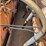 curb-master-concrete-paver-model-2000fp-image-20