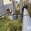 gsi-grain-dryer-(dr12295)-image-22