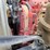 2016-kenworth-t370-image-124