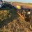 mandako-land-roller-image-12