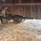 ford-l8000-image-34
