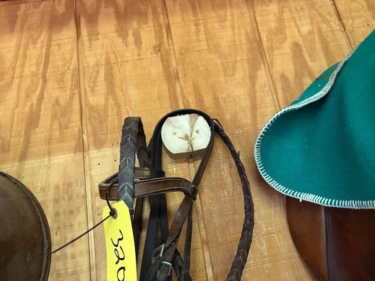 english-bridle-image-4