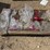 #8183-•-2025-landhonor,-ratchet-binders-and-chains-image-1