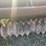 7'-vestal-cultipacker-seeder-image-15