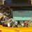 2006-volvo-l20bp-image-17
