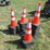 #29336-•-lot-of-(50)-unused-traffic-cones-image-2