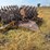 #21146-•-dual-drum-sheeps-foot-image-31