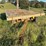 tandem-axle-hay-wagon-as-is-image-1