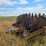 #21146-•-dual-drum-sheeps-foot-image-5