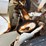 dry-spreader-buggy-(dr12304-unit-#52)-image-23