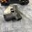 #4022-•-sig-sauer-p365,-sn:-66f854200-image-6