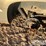 2009-chevrolet-tahoe-image-12