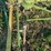 krone-5.52/4x7t-4-basket-tedder-image-9