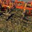 54’-bourgault-chisel,-12”-space,-heavy-harrows,-note:-hitch-slightly-bent-in-one-spot,-doesn’t-affect-performance-of-machine-as-hitch-is-floating.-image-33