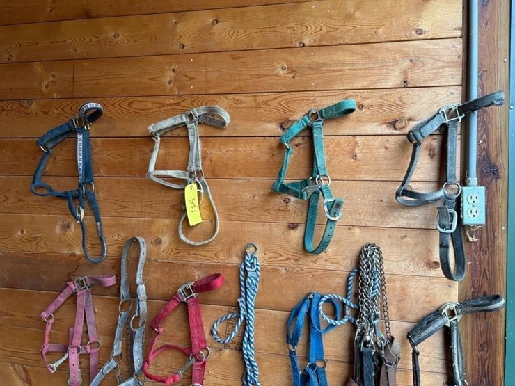 halters-&-lunging-lines-image-4