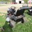 murray-mt100-riding-lawn-mower-42"-deck-image-3