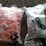 lot#-764--miscellaneous-items-image-2