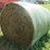#5033-•-(18)-second-crop-round-bales-image-8