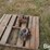 international-1066-image-2