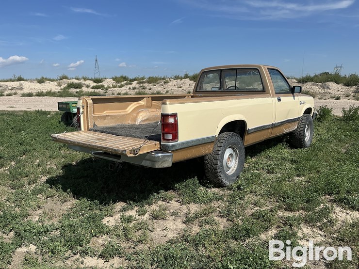 1987-dodge-dakota-image-5