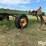 john-deere-11-image-14