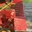 new-holland-166-image-12