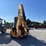 2019-jcb-3cx-image-18