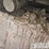2012-bobcat-e55-image-11