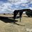 2010-circle-m-t/a-gooseneck-flatbed-trailer-image-3