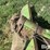 john-deere-80-image-11