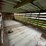 1965-wilson-livestock-trailer-image-20