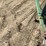 john-deere-843-image-9