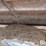 8'-creep-feeder-image-12