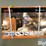 landhonor-lhr-epc40-plasma-cutter-image-9
