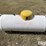 2005-120-gallon-propane-tank-image-8
