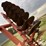 krause-4904-image-17